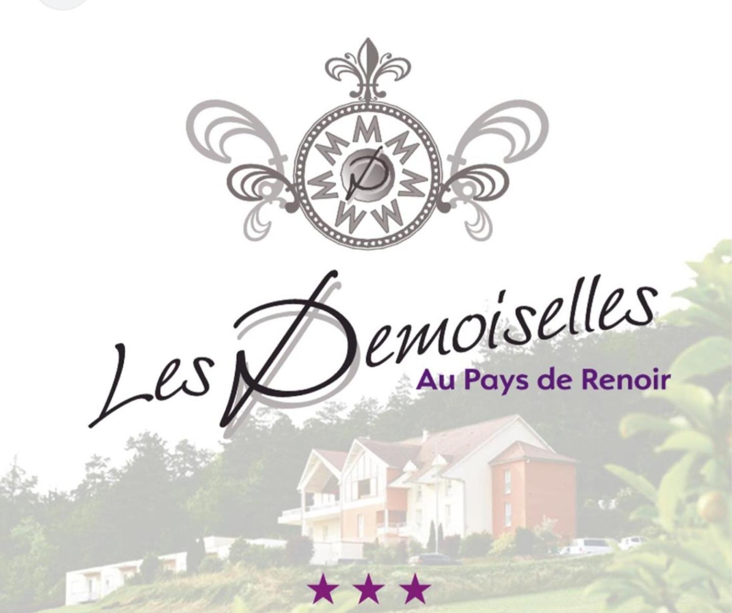 Hotel Les Demoiselles Essoyes Eksteriør bilde